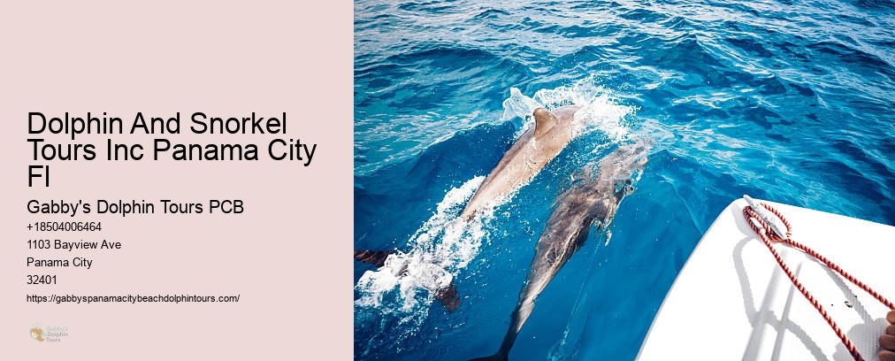 Dolphin And Snorkel Tours Inc Panama City Fl