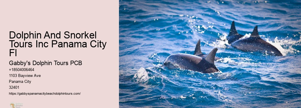 Swim With Dolphins Panama City Fl