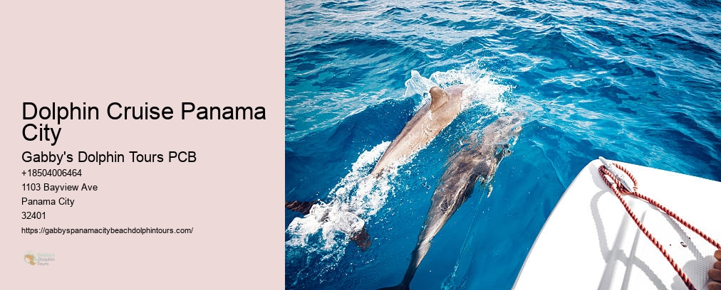 Dolphin Cruise Panama City