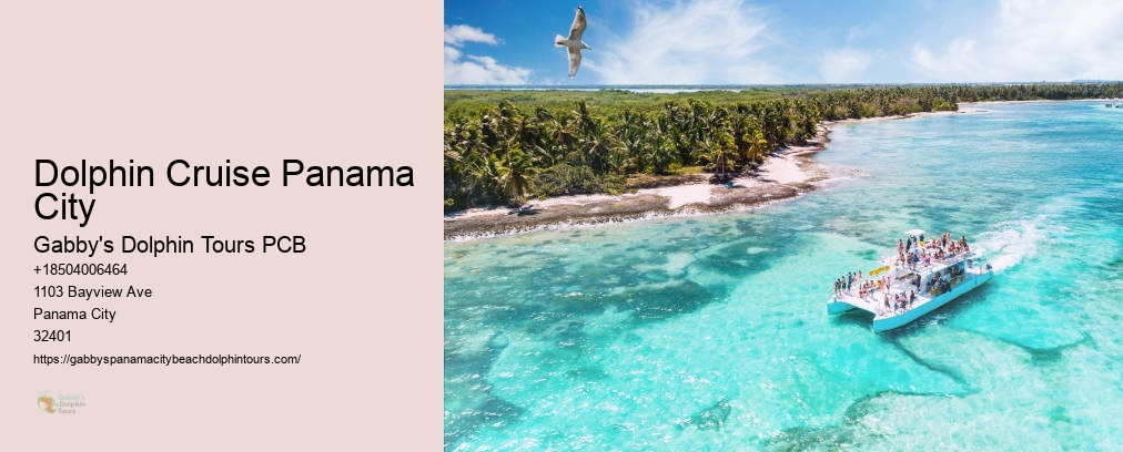 Dolphin And Snorkel Tours Inc Panama City Fl