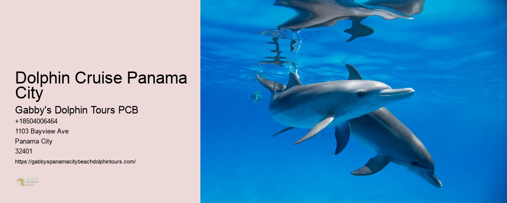 Dolphin Tours Panama City Fl
