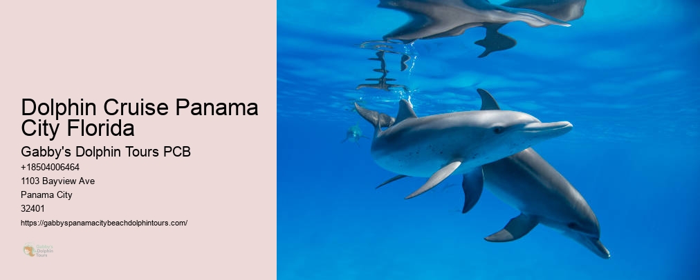 Dolphin Tours Near Me