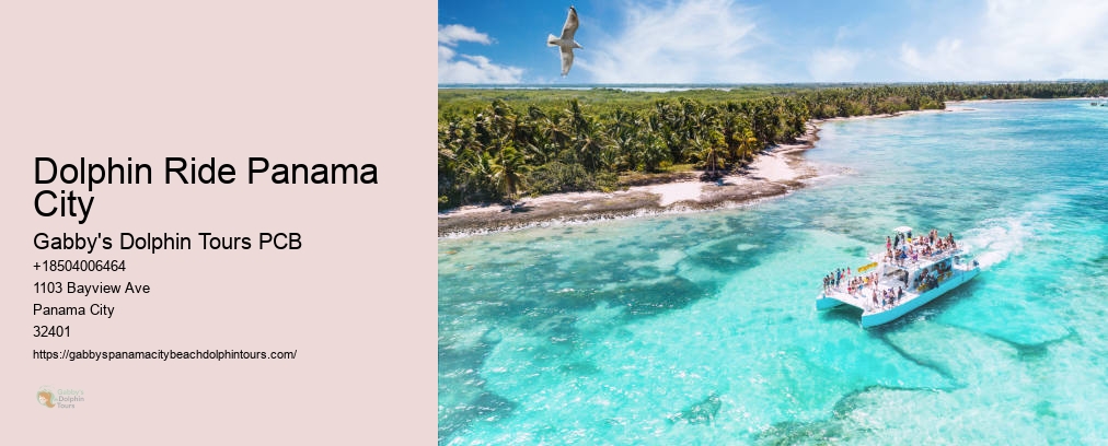 Panama City Snorkeling Shell Island