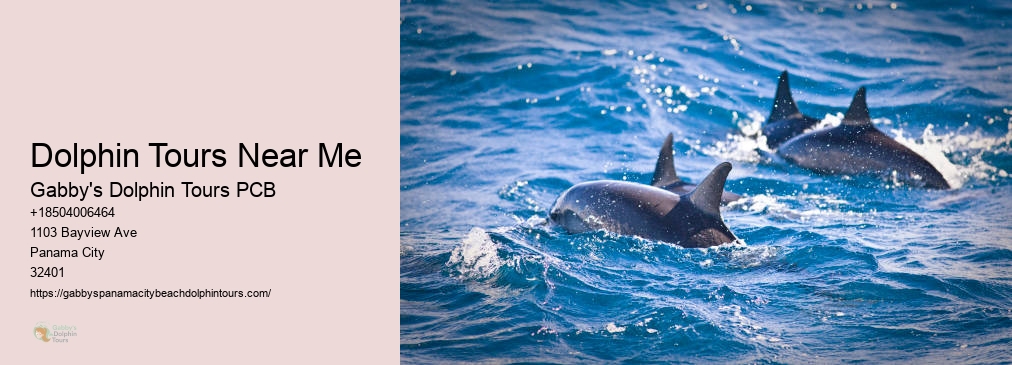 Panama City Florida Dolphin Cruise
