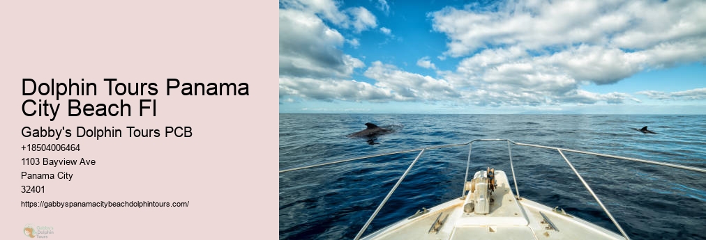 Dolphin Cruise Panama City Florida