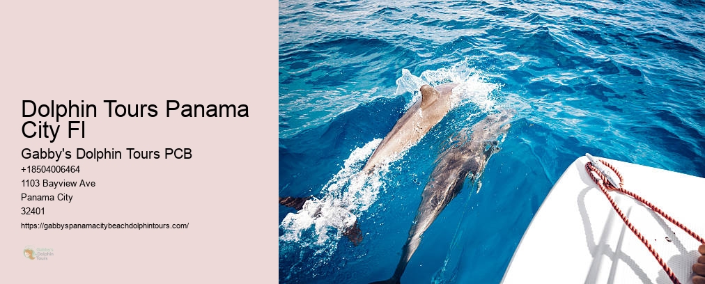 Swim With Dolphins Panama City Fl