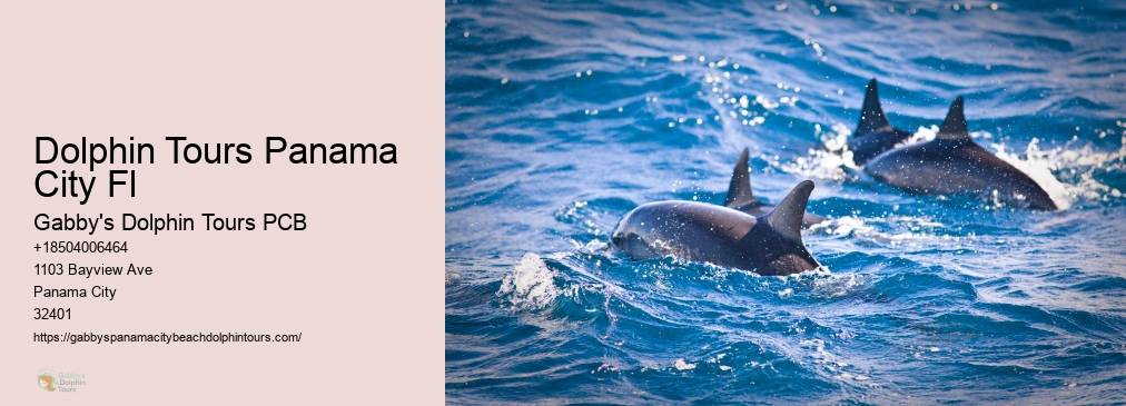 Swim With Dolphins Panama City