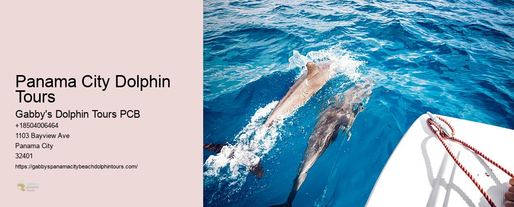Dolphin Cruise Panama City