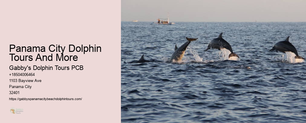 Panama City Dolphin Tours