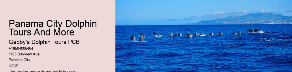 Tours To Shell Island In Panama City