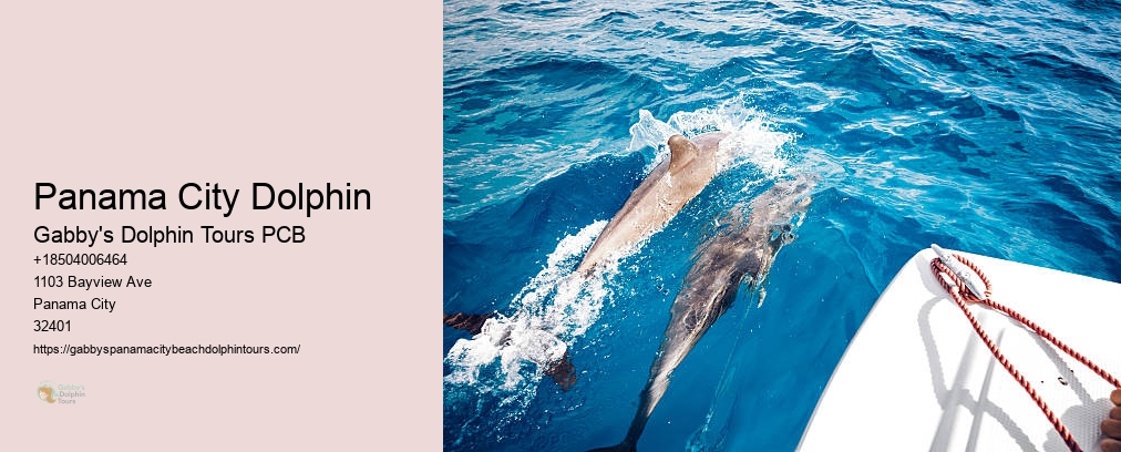 Panama City Dolphin