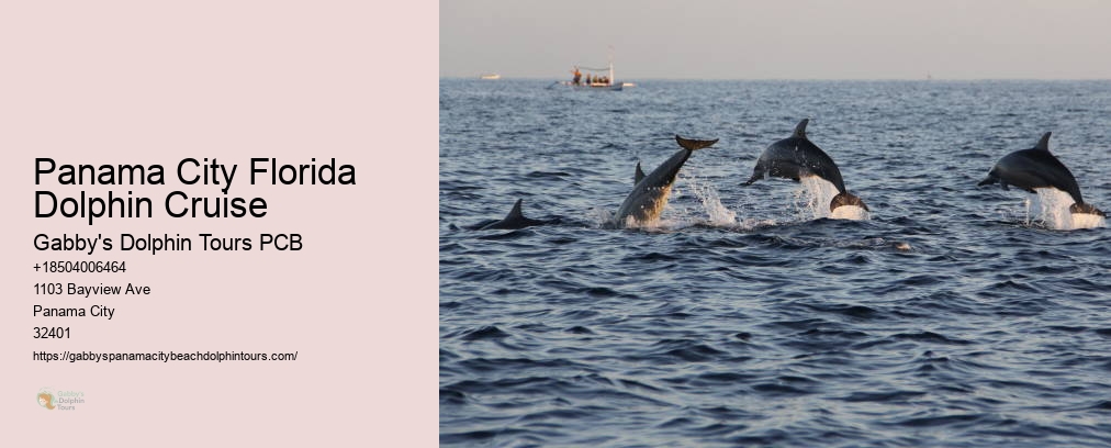 Panama City Dolphin Tours