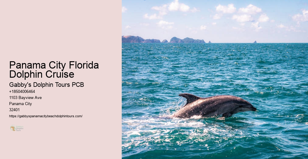 Tours To Shell Island In Panama City