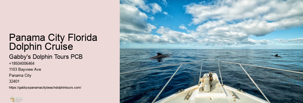 Dolphin Cruise Panama City Florida