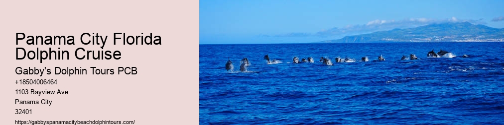 Dolphin Tours Near Me