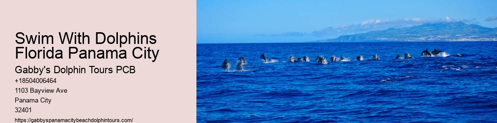 Panama City Florida Dolphin Cruise