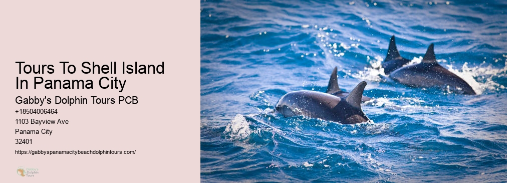 Dolphin Tours Panama City Fl